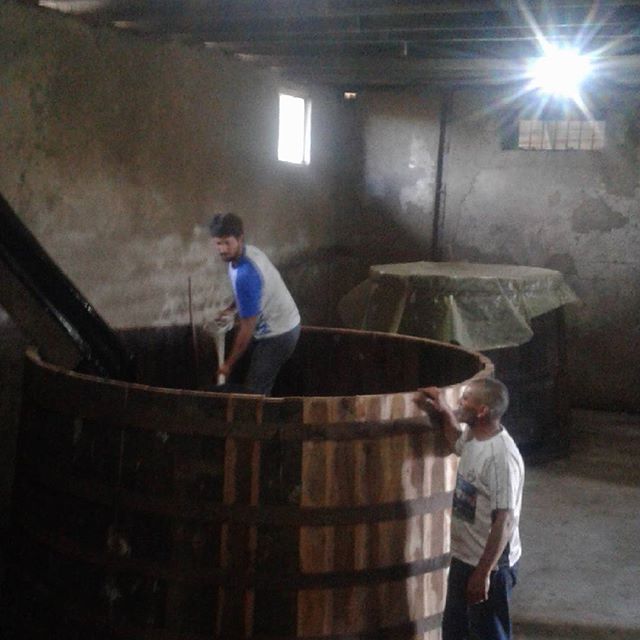 Mauricio González Quinta de Unihue 2017 - Imagen 9