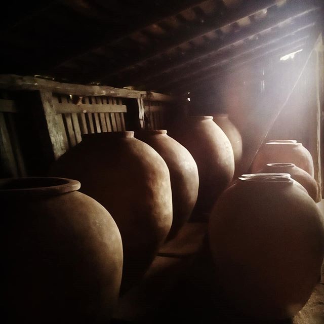 Mauricio González Quinta de Unihue 2017 - Imagen 4