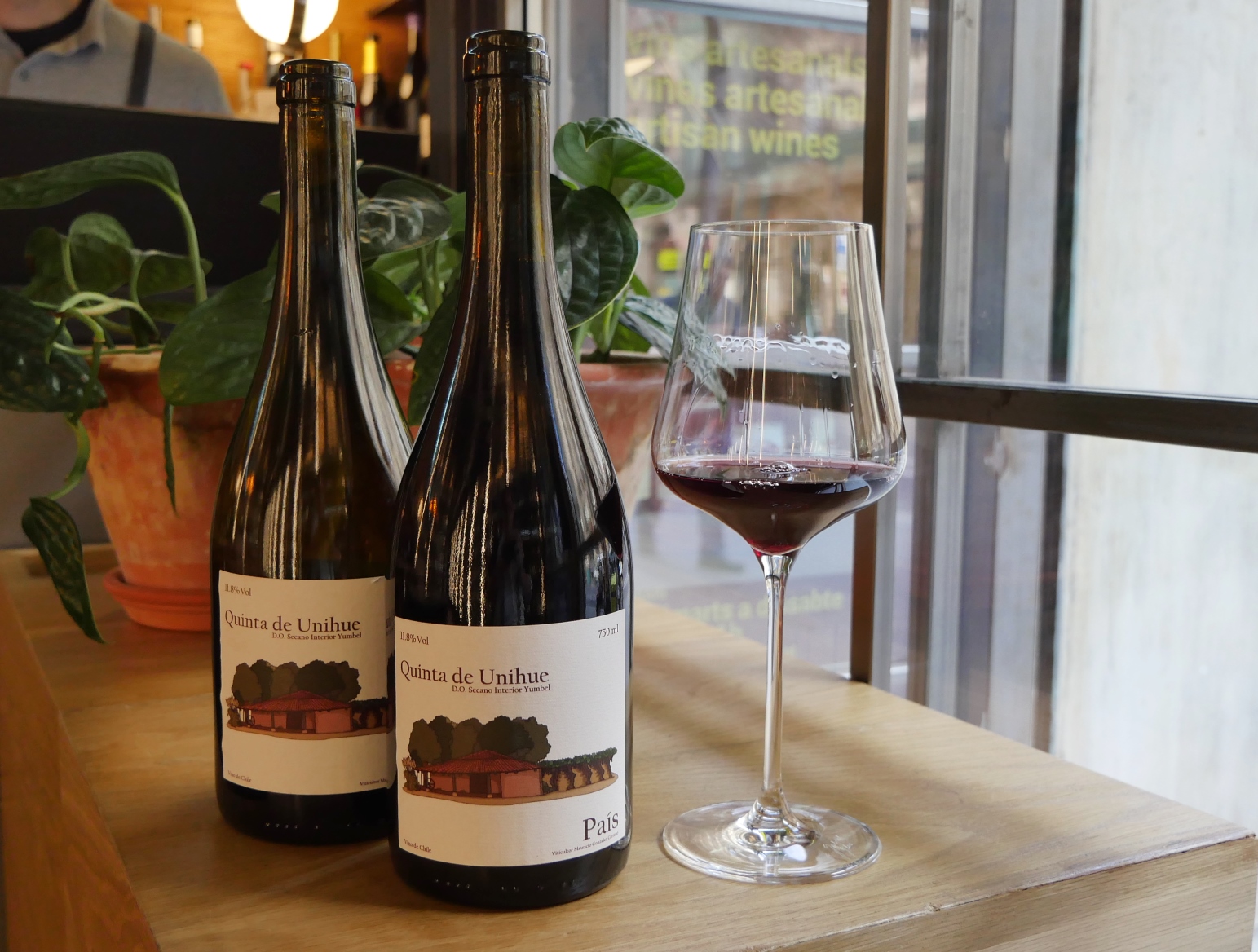 Mauricio González Quinta de Unihue 2017 - Imagen 11