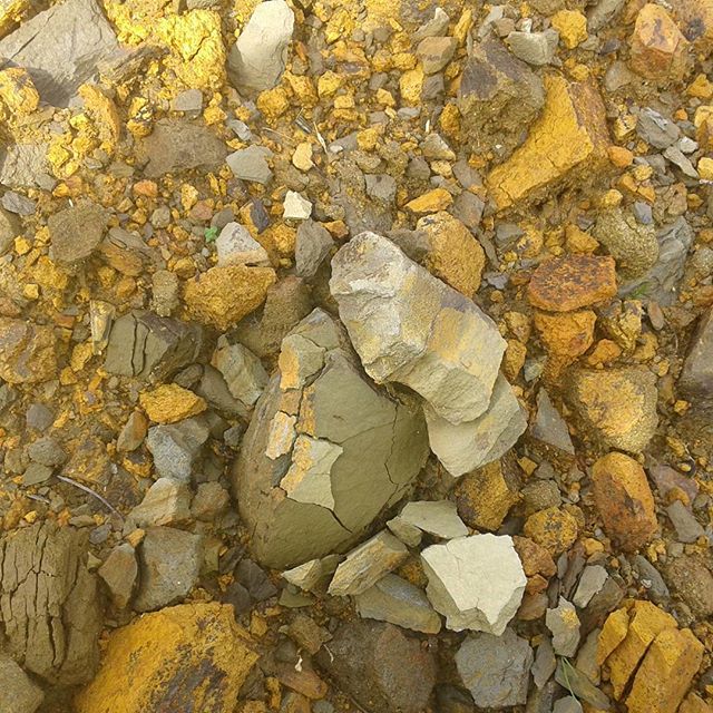 Roberto Henríquez Santa Cruz de Coya 2018 - Imagen 6