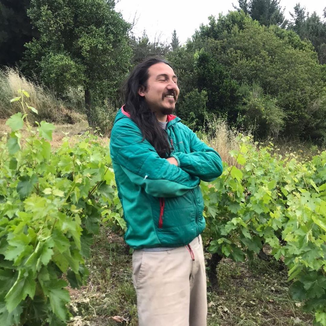 Roberto Henríquez Santa Cruz de Coya 2018 - Imagen 2