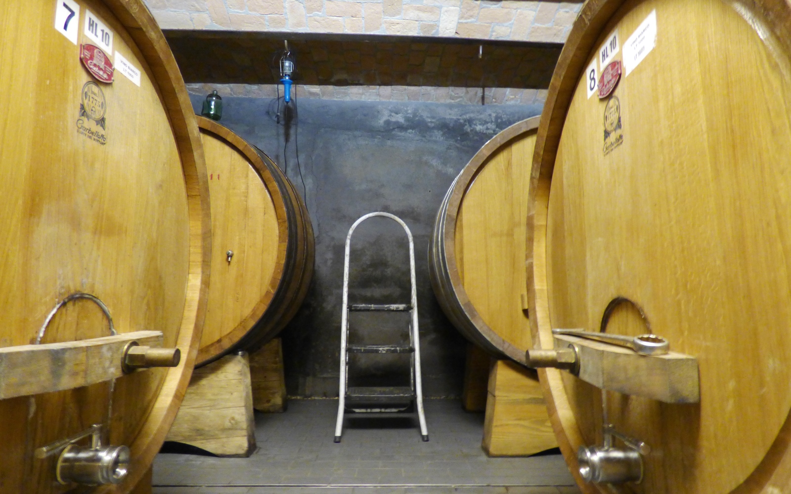 Ezio Cerruti Macfol Bianco Macerato 2021 - Imagen 7