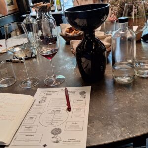 Curs d'introducció al món del vi del 15 de maig